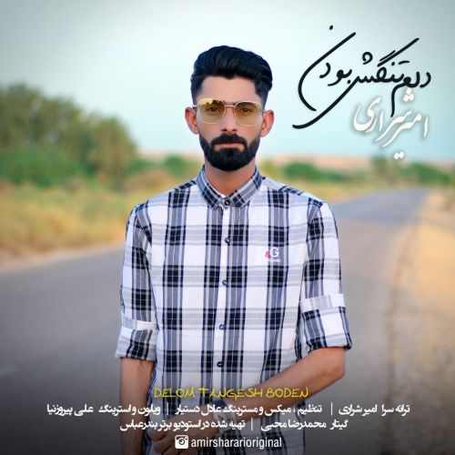 دانلود آهنگ دلم تنگش بودن